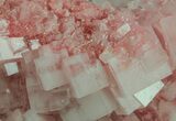 Pink Halite Crystal Plate - Trona, California #61051-2